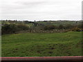 Grazing land alongside Desert Road