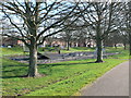 Skate Park at the Cop Park