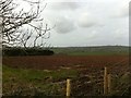 Overlooking Pantyrhaud Farm