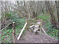 Stile and footbridge on the Maelor Way near Erbistock