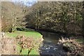 Mid Devon : Iron Mill Stream