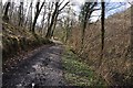 Mid Devon : Path through Chample