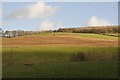 Mid Devon : Grassy Hillsides