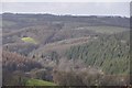 Mid Devon : Countryside Scenery