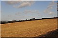 Mid Devon : Ploughed Field