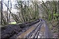 Mid Devon : Muddy Track through Little Wood