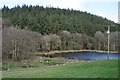 Mid Devon : Lake at Trout Fishery