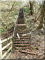 Disused flight of steps up a Sirhowy valley hillside north of Ynysddu