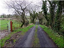 H4268 : Minor road / lane, Mullaghmore by Kenneth  Allen