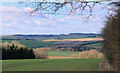 2012 : Looking over Manton Bottom