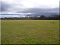 Part of Alyn Waters Country Park