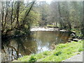 Sirhowy River viewed from the southern end of Station Avenue, Ynysddu