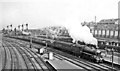 Northward scene at Harringay West, with an Up express, also a freight on the Ferme Park flyover