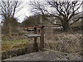 Sluice Gate, Bealey