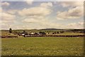 In the fields at Blowplain, May 1990