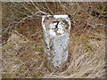 Milestone 7 Arran (Machrie Moor)