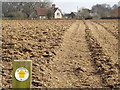 Field Path, Shotters Farm