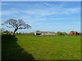 Pasture, Kingston Lisle