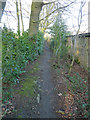 Path to Shire Lane from Parrott