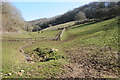 Valley below Conygre Wood