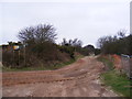 Footpath to Sizewell Common