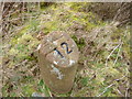 Milestone 12, Arran