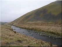 NT8609 : The River Coquet under Shillhope Law by Russel Wills