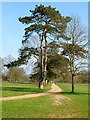 Footpath, Stoke Charity, Wonston