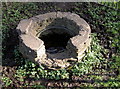 ST6272 : St Anne's Well by Neil Owen