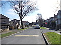 Branksome Crescent - Heaton Park Drive