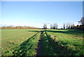 Footpath to Broughton Monchelsea