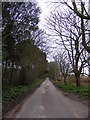 Road near Caroline Cottage