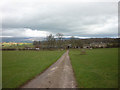 The track through Keld to Bolton