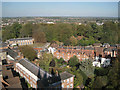 Priory Park and the back of the Butts