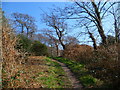 The Solent Way east of Hamble Cliff