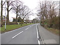 Adel Lane - viewed from St Helen