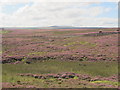 Birkside Fell north of Newbiggin