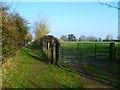 Footpath between Kew Lane and School Road