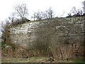 The main wall, disused limestone quarry, Byesteads