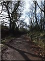 Camel Trail near Penpont