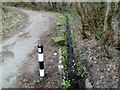 Narrow drainage channel, Ynysddu