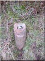 Milestone 13, Arran (The Ross)