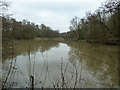 Winter scene on Vann Lake