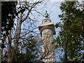 The Marquess on his column, Llanfairpwllgwyngyll