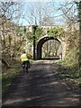 Road bridge over Camel Trail at Polbrock Bridge 