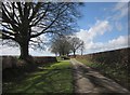 Road past Oxenleaze Farm