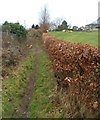 ST1892 : Track from woodland to Twyn Gwyn Road, Cwmfelinfach by Jaggery