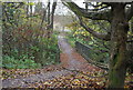 Bridge across Bewbush Brook