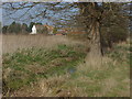 River Wey water meadows