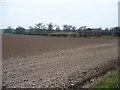 SE4629 : Bare field south of Holy Rood Lane by Christine Johnstone